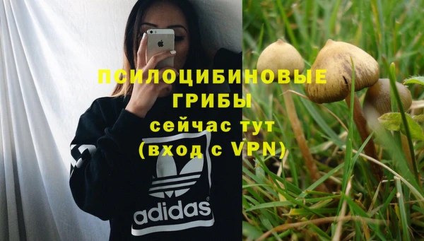 каннабис Нягань