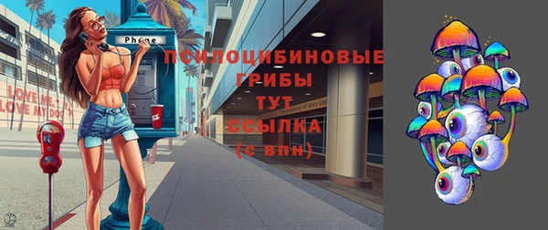 крисы Нязепетровск