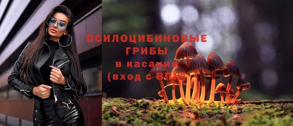 МДМА Няндома