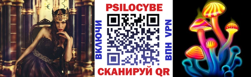 где продают   Торжок  Псилоцибиновые грибы мухоморы 