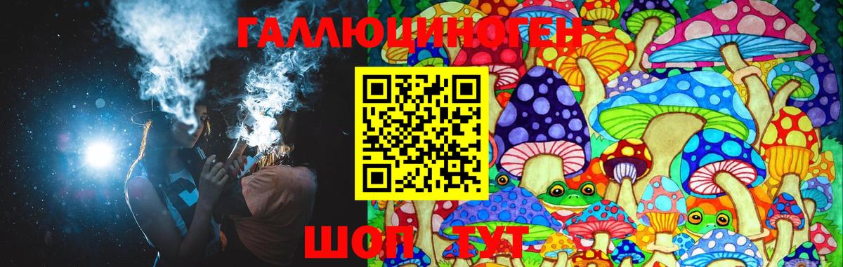 Псилоцибиновые грибы Psilocybine cubensis Торжок