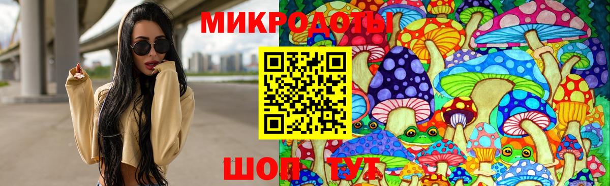 Галлюциногенные грибы Psilocybe Торжок