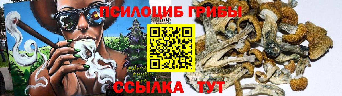 Торжок  Псилоцибиновые грибы Magic Shrooms  цена   Вход с VPN 