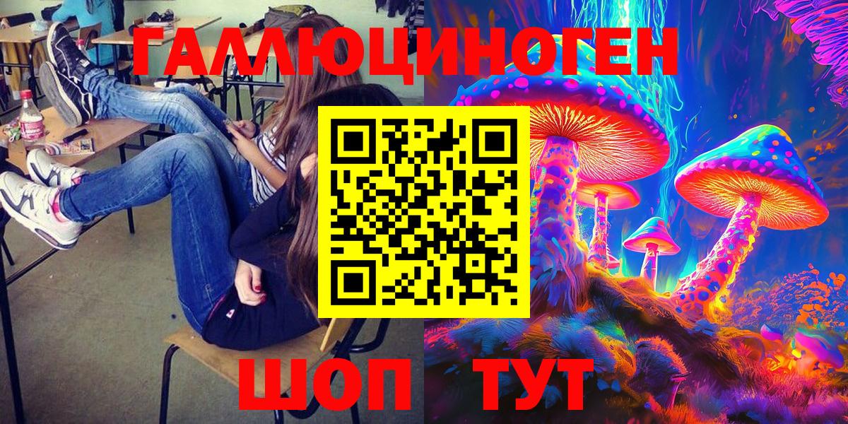 купить наркотик  Торжок  Псилоцибиновые грибы прущие грибы 