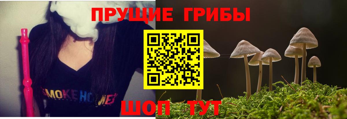 Псилоцибиновые грибы мицелий Торжок