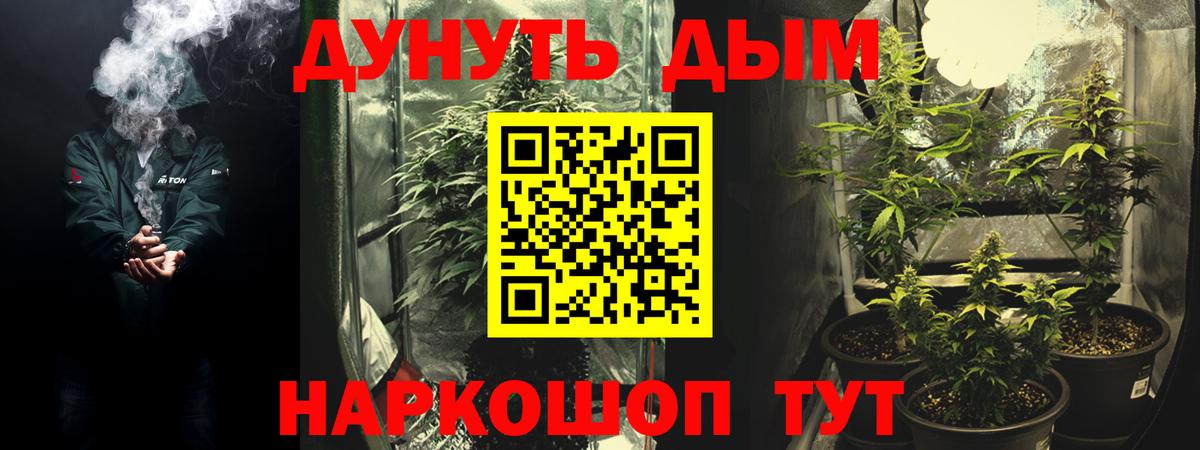 Бошки марихуана план  Торжок  МАРИХУАНА OG Kush 